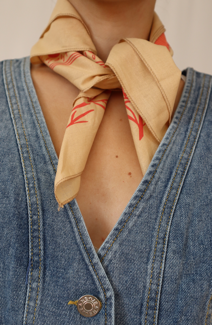 Pink + Tan Bandana